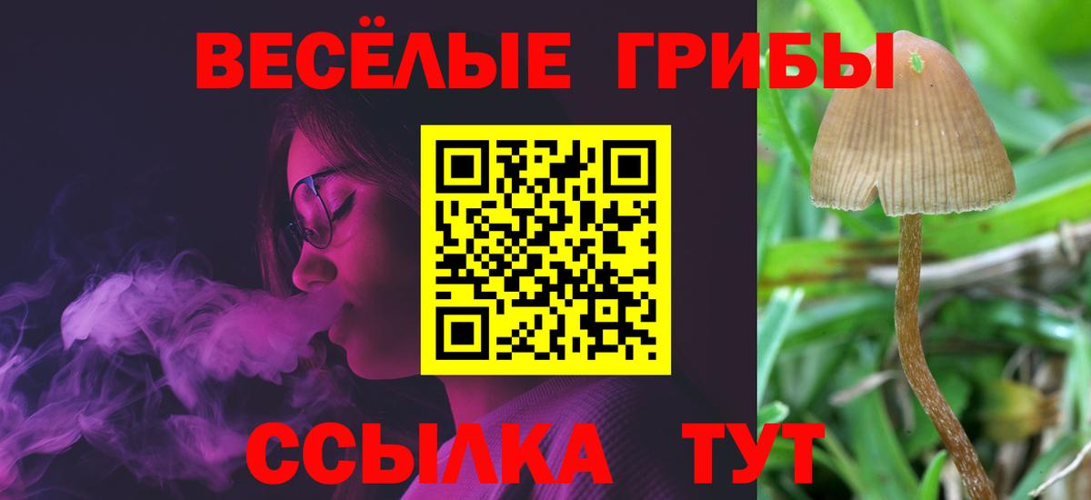Псилоцибиновые грибы мицелий  Вход с VPN  Галлюциногенные грибы мухоморы  Мирный 